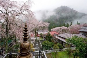 Jamanashi prefektúra, Minobun1